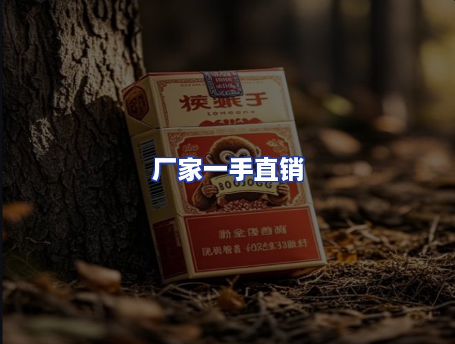专业团队